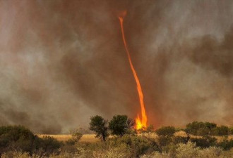 场面震撼 澳惊现罕见30米火焰龙卷风