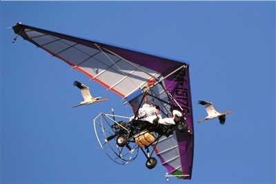 　　<b>普京驾着滑翔机引领小鹤迁徙。图/东方IC</b>