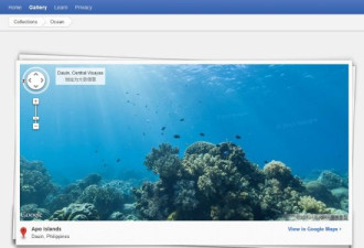 谷歌增加海底“街景”：探索美丽珊瑚礁