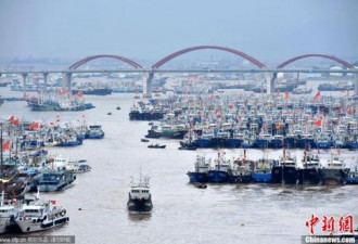 中国千艘渔船赴钓鱼岛海域 渔政同步