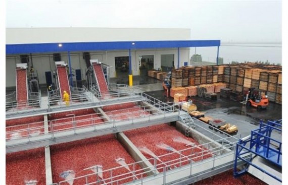 7383188.bin