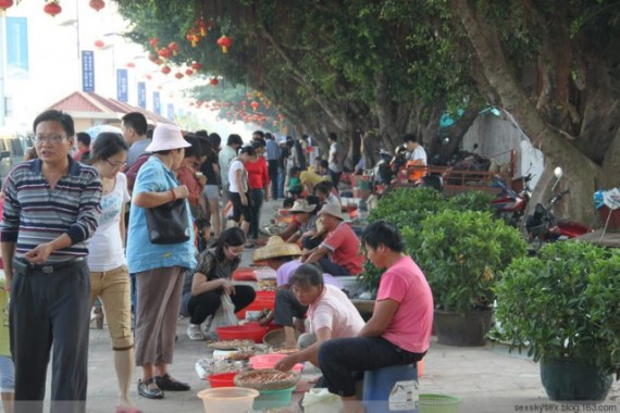 网友亲历美丽的南沙：这里俨然已成宰客的天堂(超多图)