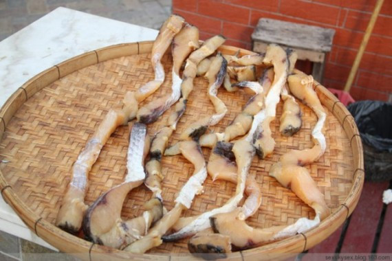 网友亲历美丽的南沙：这里俨然已成宰客的天堂(超多图)