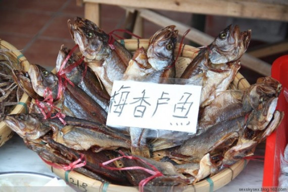 网友亲历美丽的南沙：这里俨然已成宰客的天堂(超多图)