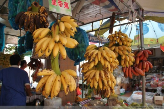 网友亲历美丽的南沙：这里俨然已成宰客的天堂(超多图)