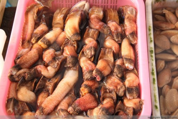 网友亲历美丽的南沙：这里俨然已成宰客的天堂(超多图)