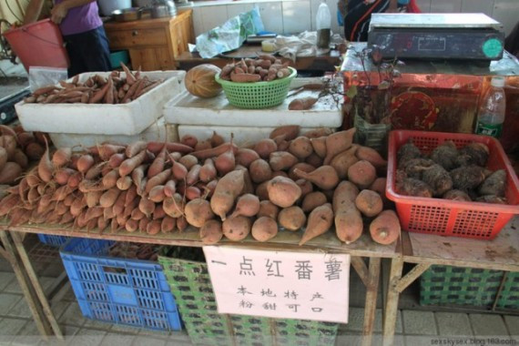 网友亲历美丽的南沙：这里俨然已成宰客的天堂(超多图)