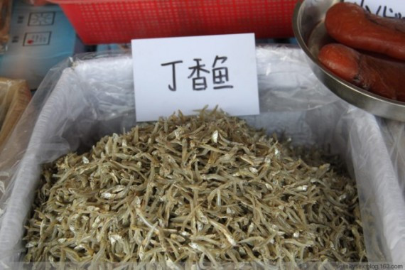 网友亲历美丽的南沙：这里俨然已成宰客的天堂(超多图)