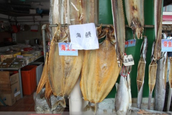 网友亲历美丽的南沙：这里俨然已成宰客的天堂(超多图)