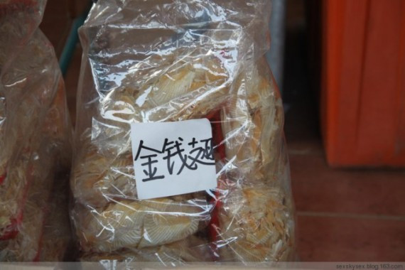网友亲历美丽的南沙：这里俨然已成宰客的天堂(超多图)