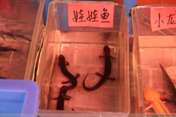 网友亲历美丽的南沙：这里俨然已成宰客的天堂(超多图)