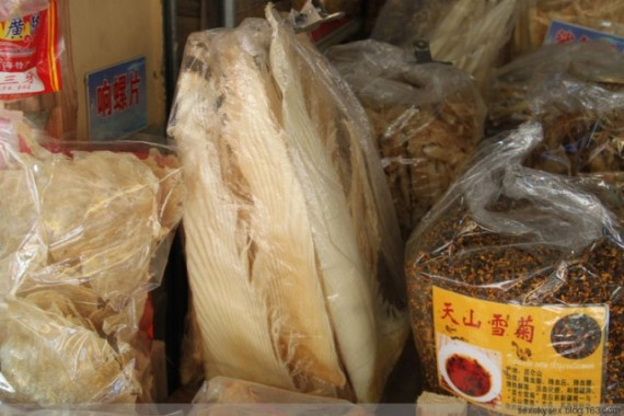 网友亲历美丽的南沙：这里俨然已成宰客的天堂(超多图)