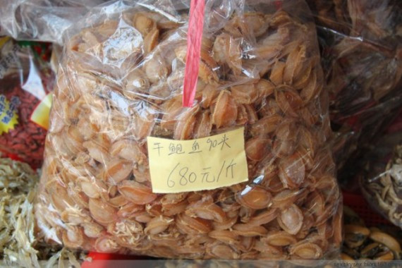 网友亲历美丽的南沙：这里俨然已成宰客的天堂(超多图)