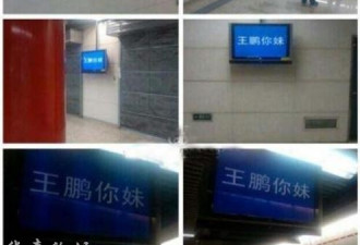 王鹏家族状告地铁法院称“你妹”不算骂人