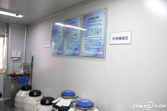 西安捐精室内部曝光 仅仅一小时有7、8位男士咨询(组图)