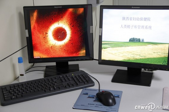 西安捐精室内部曝光 仅仅一小时有7、8位男士咨询(组图)