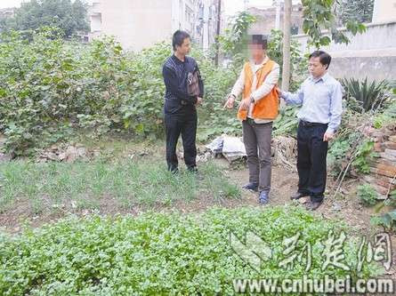 女子深夜光着上身求助 嫖客逃单竟牵出一起强奸旧案(图)