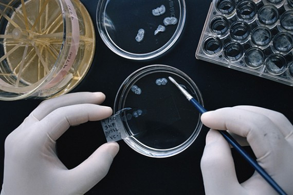SS_best_jobs_of_2010_biologist