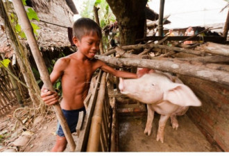 实拍柬埔寨百姓生活 幸福与贫富无关