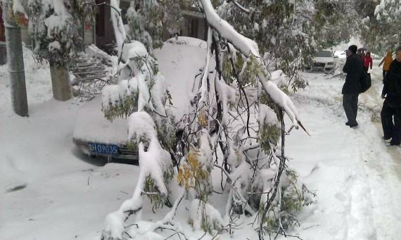 日本游客因暴雪被困河北 3人遇难1人生还(组图)