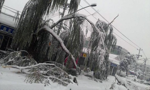日本游客因暴雪被困河北 3人遇难1人生还(组图)