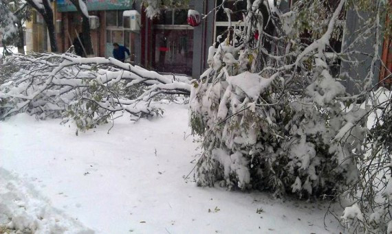 日本游客因暴雪被困河北 3人遇难1人生还(组图)