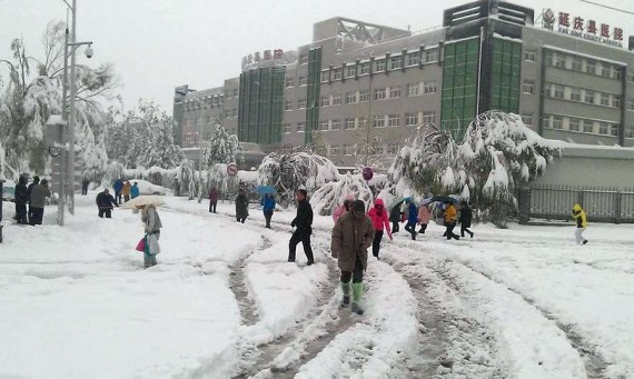 日本游客因暴雪被困河北 3人遇难1人生还(组图)