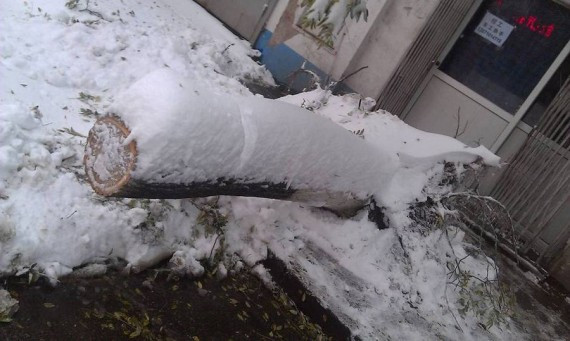 日本游客因暴雪被困河北 3人遇难1人生还(组图)