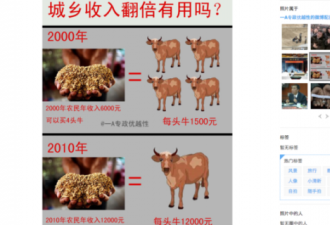 网友质疑胡锦涛 城乡收入翻倍有用吗？