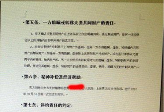 网曝王石离婚协议书 七成房产归女方