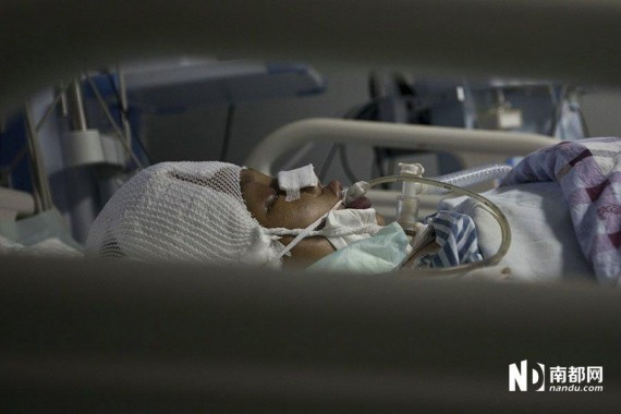 广州17岁女孩遇车祸脑死亡 父母捐献其器官(高清组图)