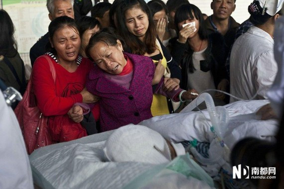 广州17岁女孩遇车祸脑死亡 父母捐献其器官(高清组图)