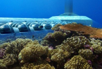 斐济打造奢华海底酒店每周需1.5万美元