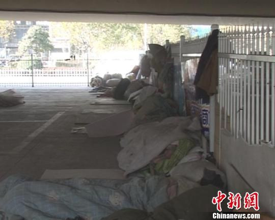 郑州桥下露宿农民工：不愿被记者报道 怕孩子看到难过