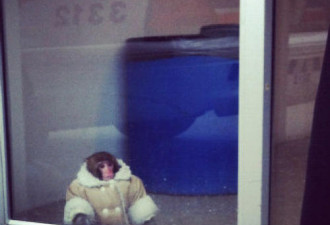 从Ikea小猴事件看加拿大宠物人道主义
