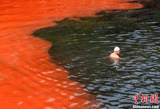 惊人：悉尼海岸红藻泛滥 海水如血水