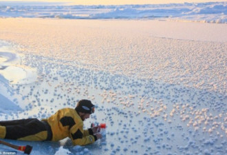 北极圈绽放数百朵霜花：助寻外星生命