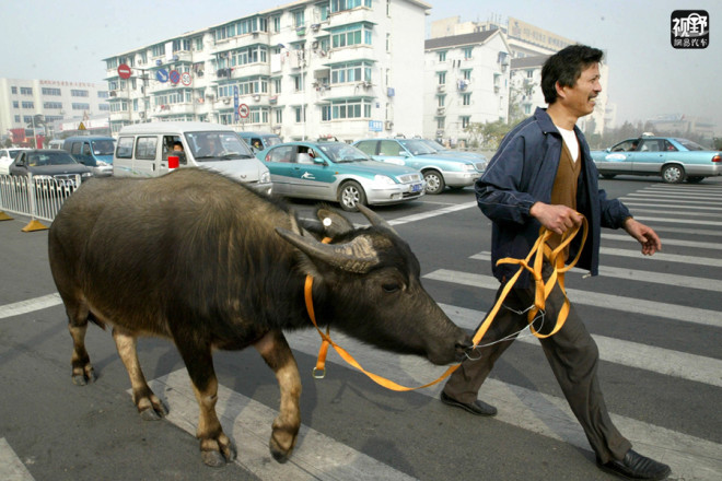 《视野》画刊:中国2012车生活,你幸福吗?(高清图集)