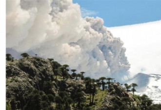 奇景：南美火山冒浓烟 各国提高警戒