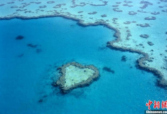 2012大美自然:海中心形珊瑚礁 地狱入口