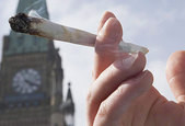 加拿大大麻新规尚未出笼 已引来批评