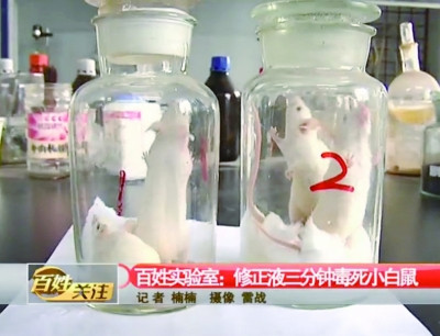 网传修正液三分钟毒死小白鼠 热传视频引家长震惊(组图)