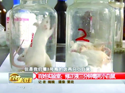 网传修正液三分钟毒死小白鼠 热传视频引家长震惊(组图)