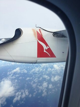 澳洲:高空中的飞机机翼惊现蟒蛇 猛拍机身血迹斑斑(组图)