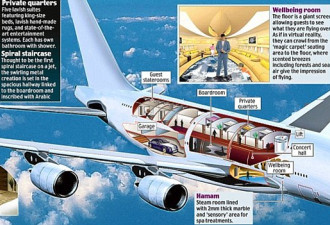 沙特王子狂掷24亿定制最大私人飞机