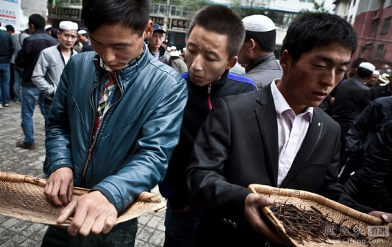 疯狂虫草：让老婆陪睡抵缴草皮费 蹂躏到靠马驮才能回家