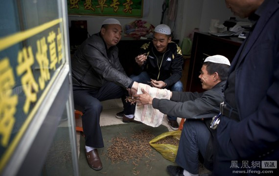 疯狂虫草：让老婆陪睡抵缴草皮费 蹂躏到靠马驮才能回家