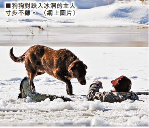 美国六旬老者不慎掉科罗拉多河冰洞 忠犬守护寸步不离(图)