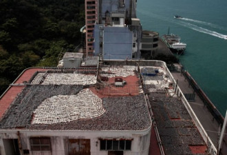 震惊：香港晾晒鱼翅 整个天台被铺满