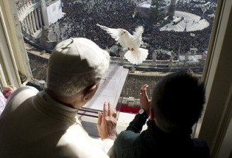 罗马教皇放和平鸽差点沦为海鸥口中餐